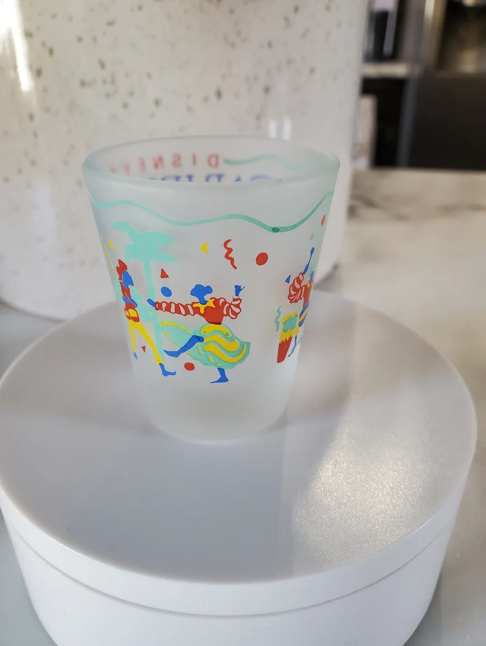 Vintage Disney World Caribbean Beach Resort Frosted Shot Glass